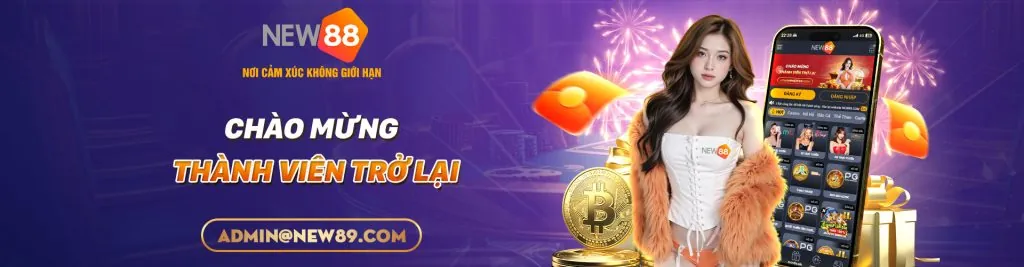 Tổng quan Điều khoản Dịch vụ EE88