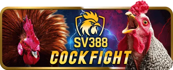 Dịch vụ hỗ trợ khách hàng EE88 24/7
